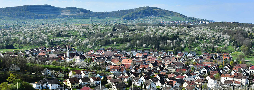 header/header-1.jpg