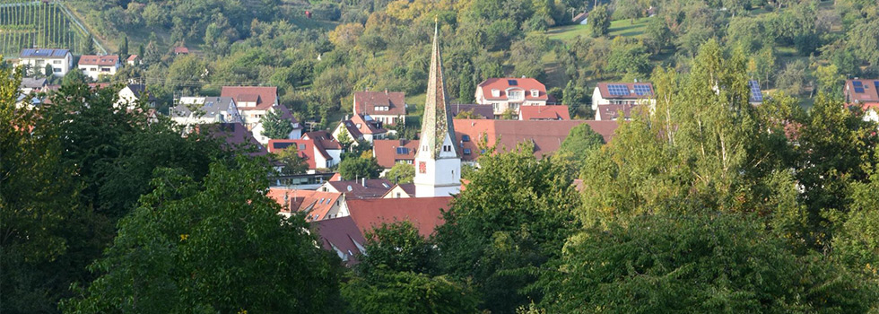 header/header-3.jpg