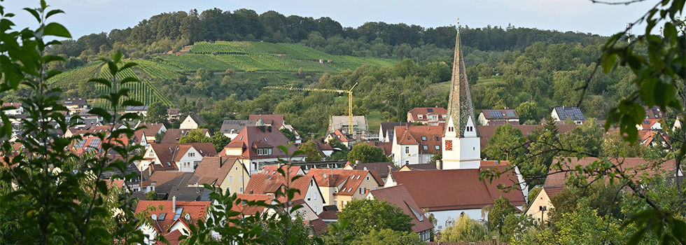 header/header-4.jpg
