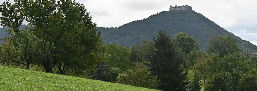 header/header-5.jpg