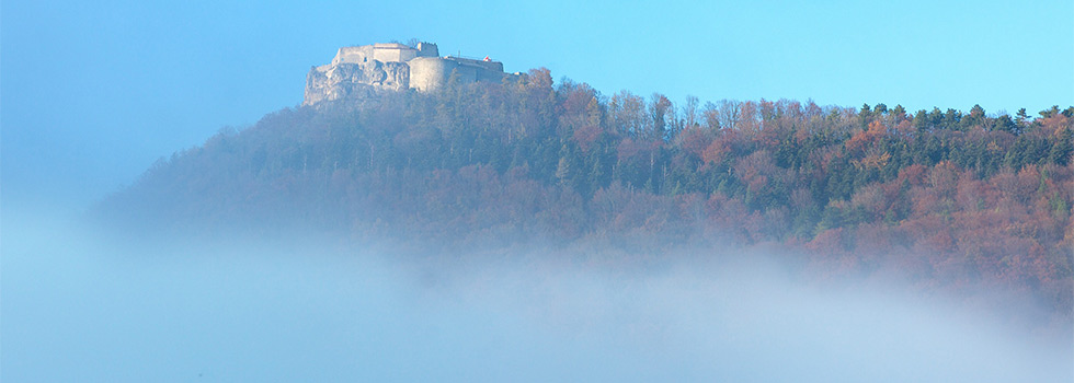 header/header-6.jpg