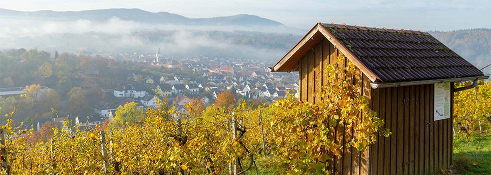 header/header-7.jpg
