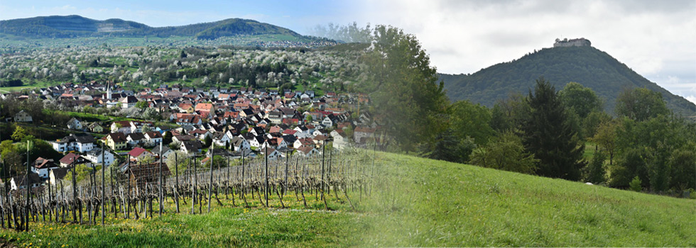 header/header-9.jpg